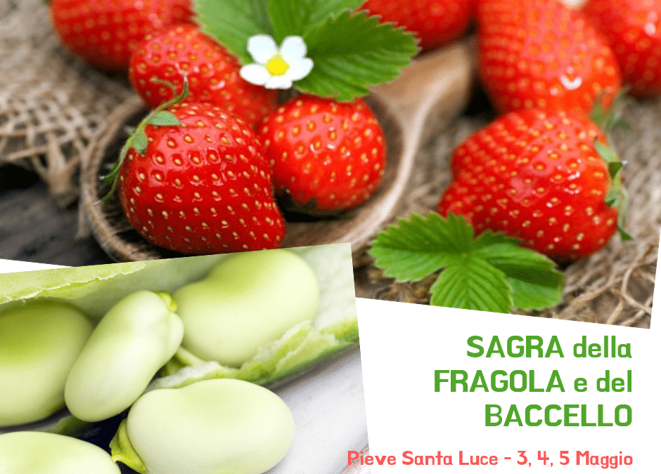 Sagra della Fragola e del Baccello