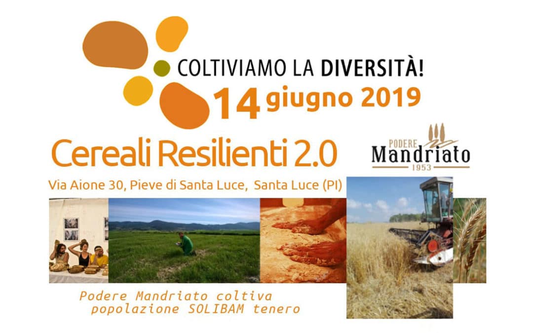 Coltiviamo la Diversità - Cereali Resilienti 2.0